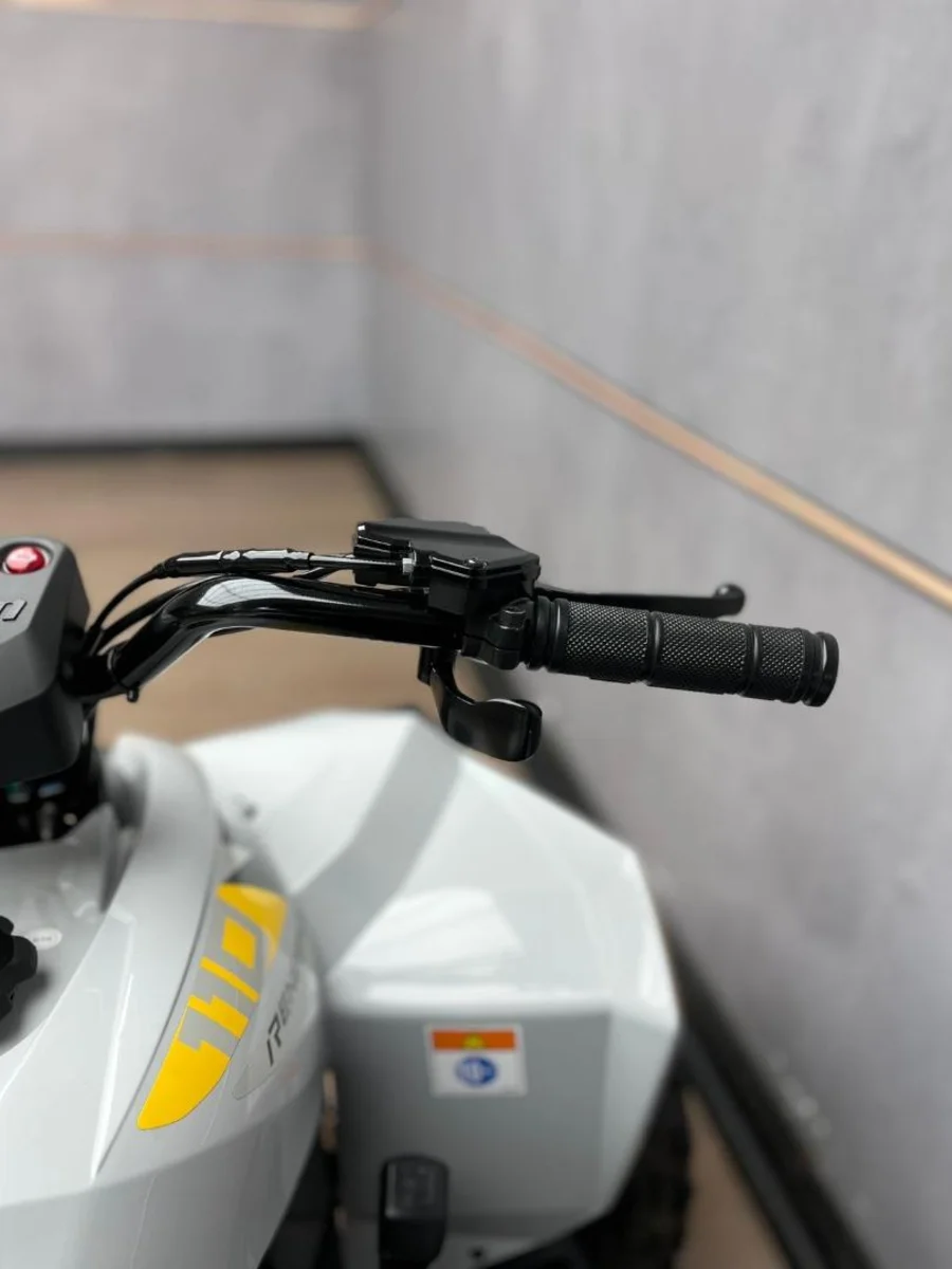 New 2025 Can-Am RENEGADE STANDARD 110 - UB Leisure New 2025 Can-Am RENEGADE STANDARD 110 - UB Leisure