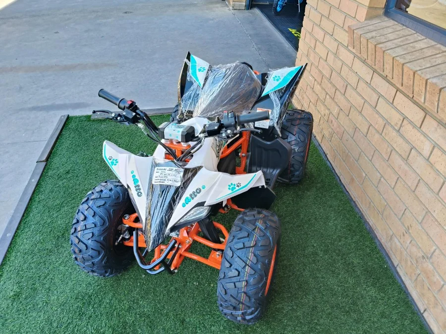 Used 2025 KAYO E110 electric AUTOMATIC - The Diff And Chain Used 2025 KAYO E110 electric AUTOMATIC - The Diff And Chain