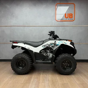 Used 2022 Kawasaki Bruteforce 300 2x4