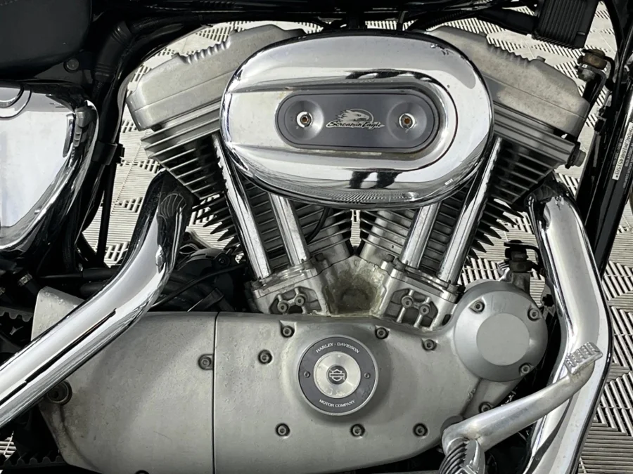 Used 2004 Harley Davidson Sportster Xl1200 Custom - WeBuyCars George