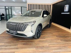 New 2025 Haval H6 2.0T Super Luxury