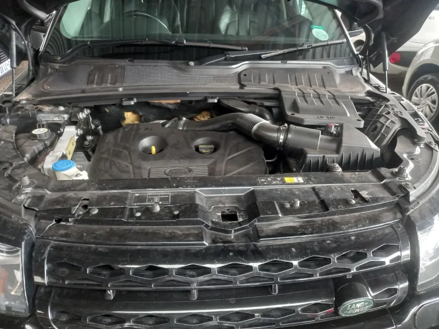 Used 2014 Land Rover Range Rover Evoque SE Si4 - Omega EL Auto