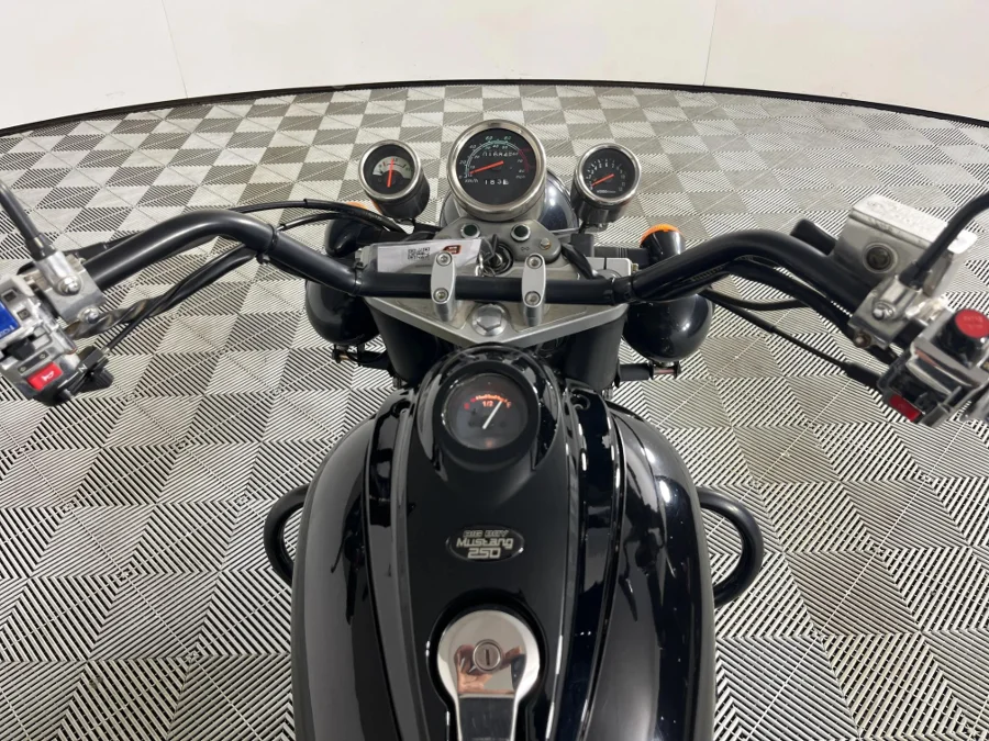 Used 2021 Big Boy Mustang 250 - WeBuyCars Riverhorse