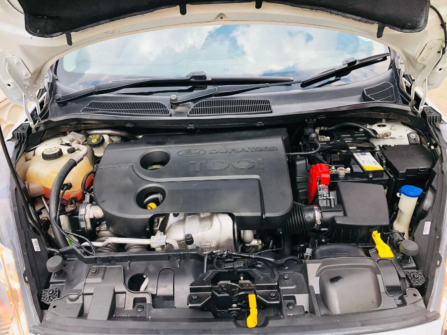 Used 2015 Ford Fiesta 1.6TDCi 5-door Ambiente - SG Cars