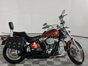 Used 2001 Harley Davidson Softail Standard