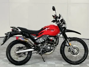 Used 2021 Hero X Pulse 200