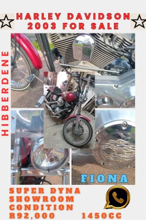New 2003 Harley Davidson Dyna