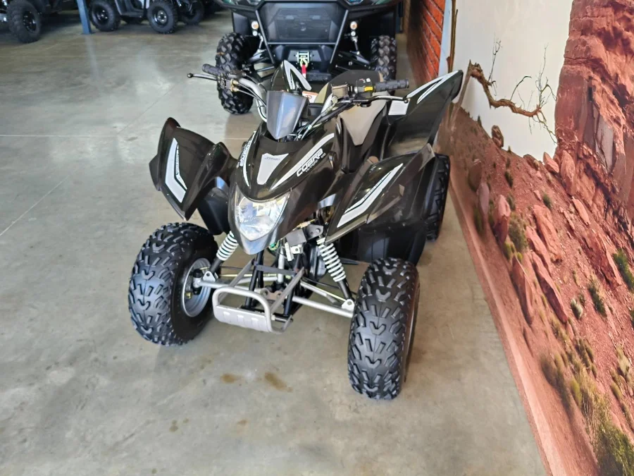 Used 2016 Aeon Cobra 110 AUTOMATIC - The Diff And Chain