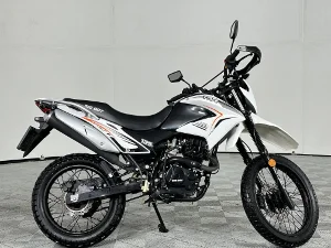 Used 2023 Big Boy TSR 125