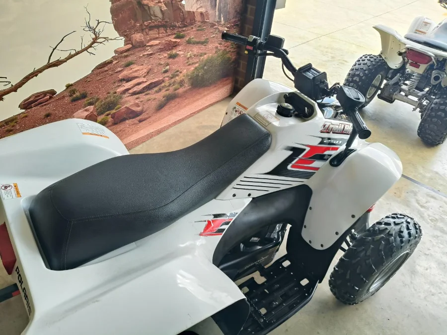 Used 2009 Polaris TRAIL BLAZER 250 AUTOMATIC - The Diff And Chain
