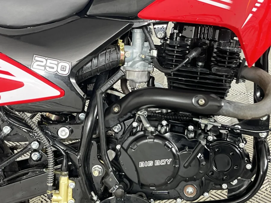 Used 2025 Big Boy TSR 250 - WeBuyCars The Dome