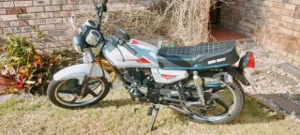 New 2022 Big Boy CGL