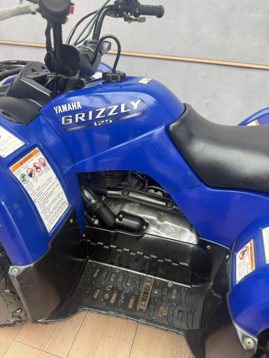 Used 2005 Yamaha Grizzly 125 - UB Leisure