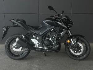 YAMAHA MT-03