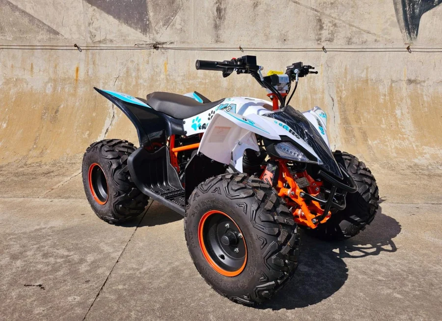 New 2026 KAYO EA 110 - Linex Sandton Bikes and Accessories