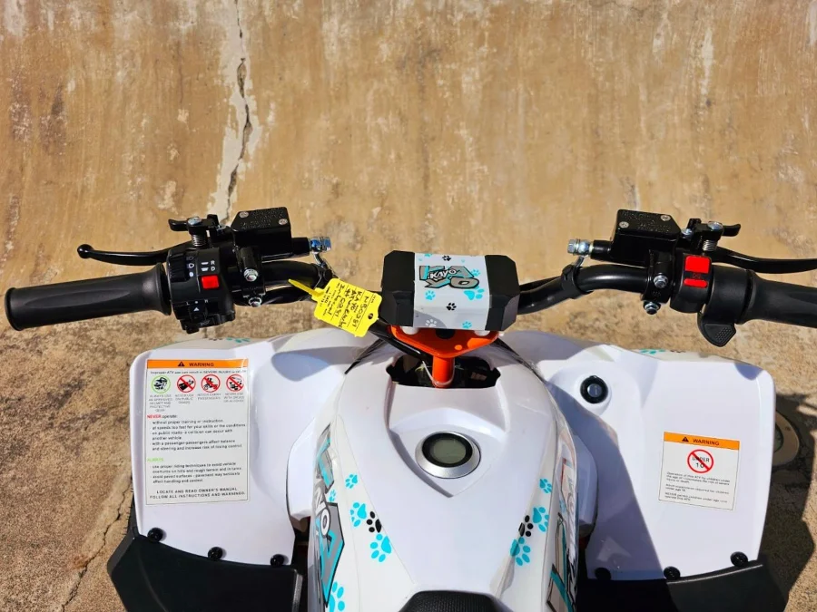 New 2026 KAYO EA 110 - Linex Sandton Bikes and Accessories