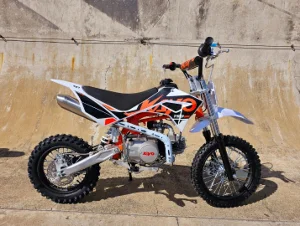 New 2026 KAYO TSD 110 New 2026 KAYO TSD 110