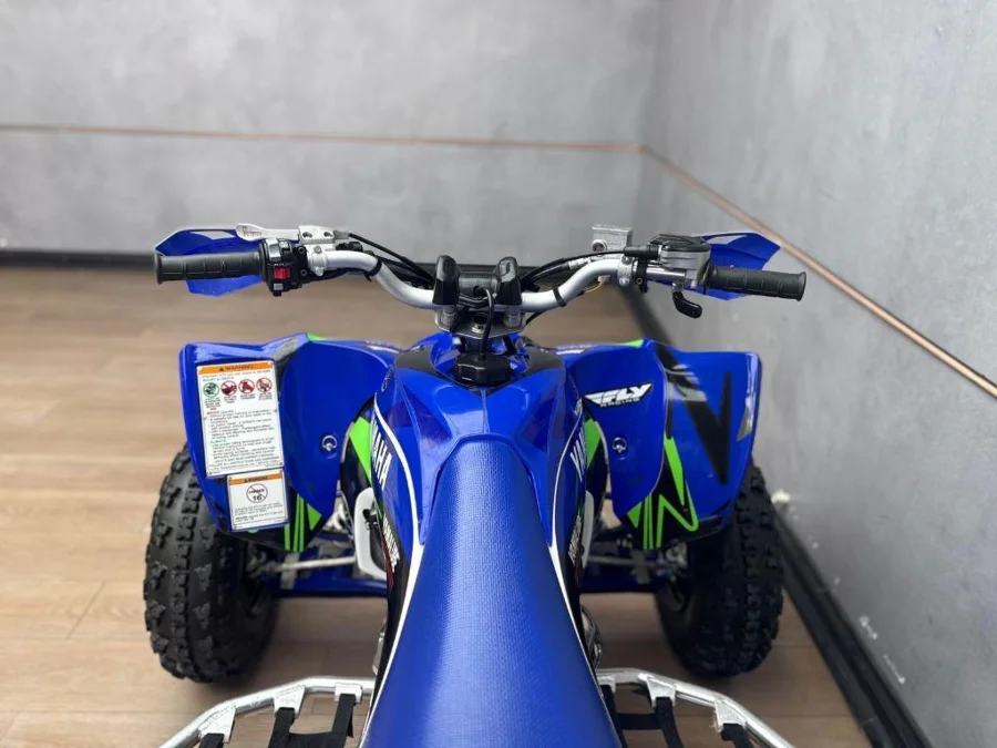 Used 2018 Yamaha YFZ 450 R - UB Leisure