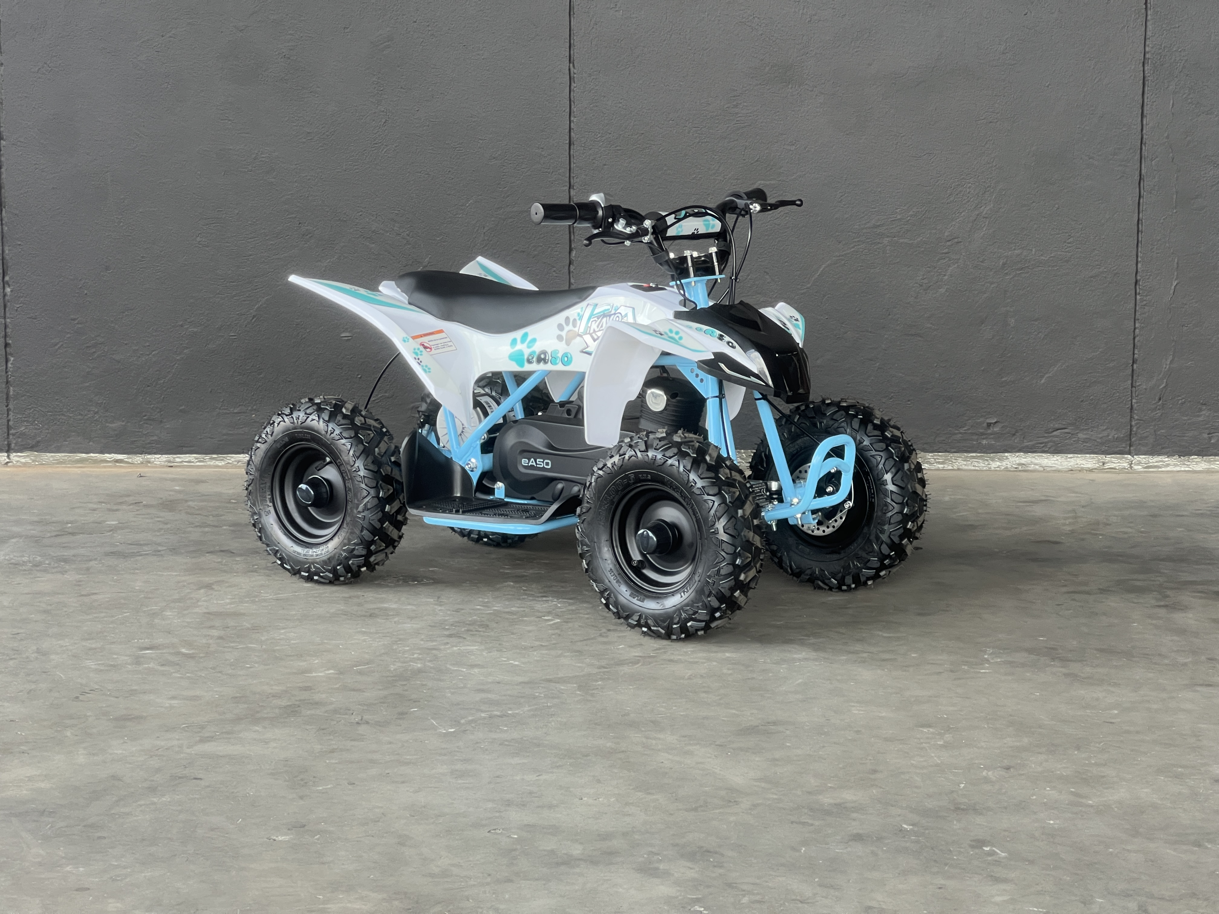 KAYO EA50