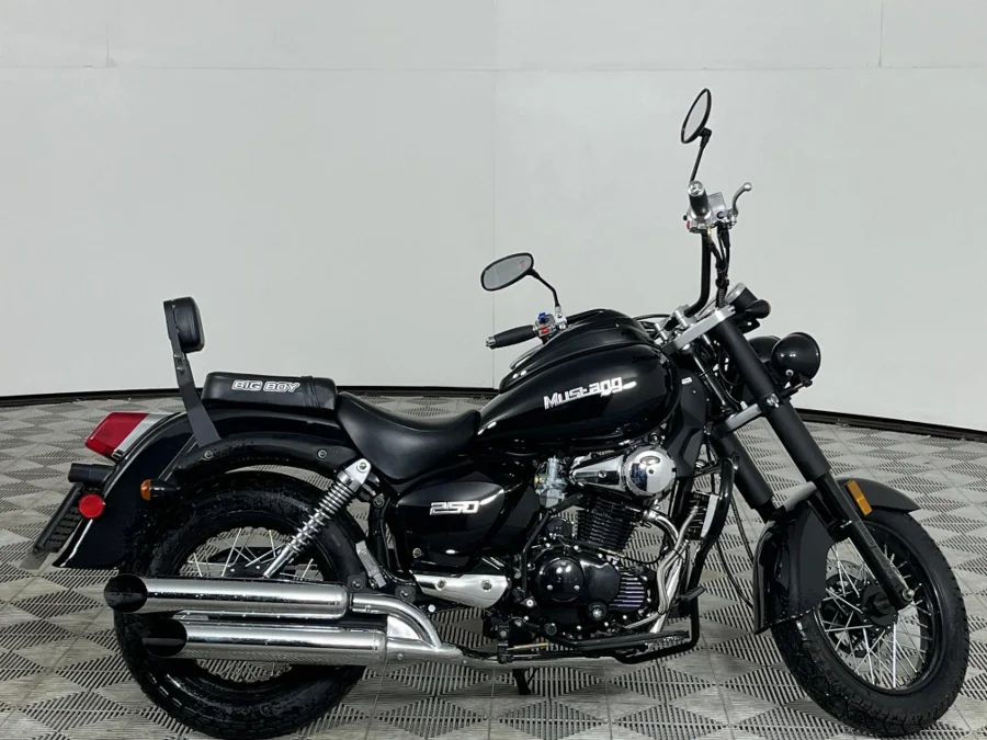 Used 2026 Big Boy Mustang 250 - WeBuyCars George Used 2026 Big Boy Mustang 250 - WeBuyCars George