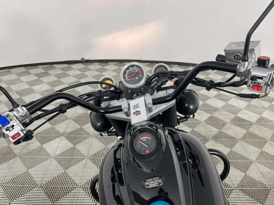 Used 2026 Big Boy Mustang 250 - WeBuyCars George Used 2026 Big Boy Mustang 250 - WeBuyCars George