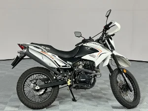Used 2024 Big Boy TSR 125