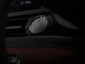 Thumbnail 19