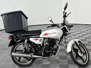 Used 2020 Big Boy CGL /ccl/velocity 150