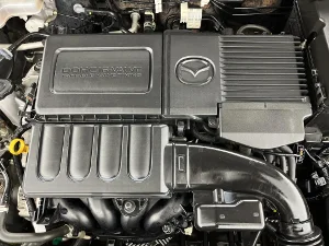Thumbnail 13