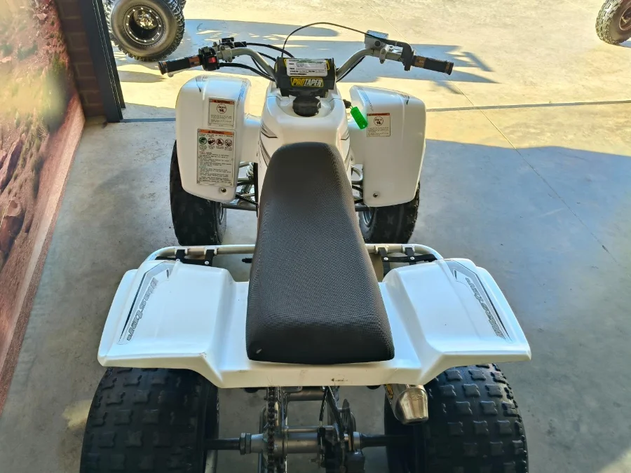 Used 2007 Yamaha BLASTER 200 Manual - The Diff And Chain