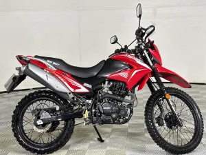 Used 2022 Big Boy TSR 250
