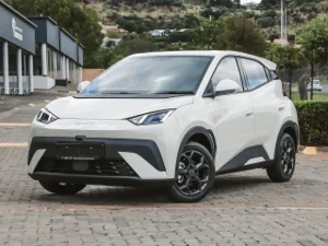 New 2026 BYD Dolphin Surf Dynamic