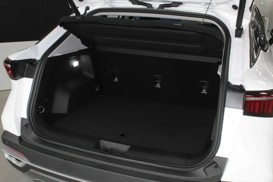 Preloaded Image 19