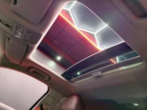 Thumbnail 13