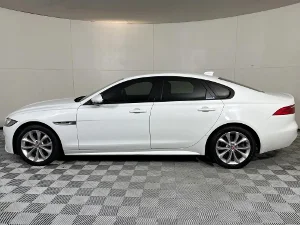 Thumbnail 19