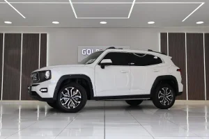 Used 2025 Haval H7 2.0T 4WD Super Luxury
