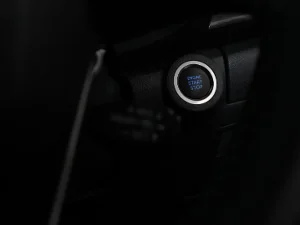 Thumbnail 21