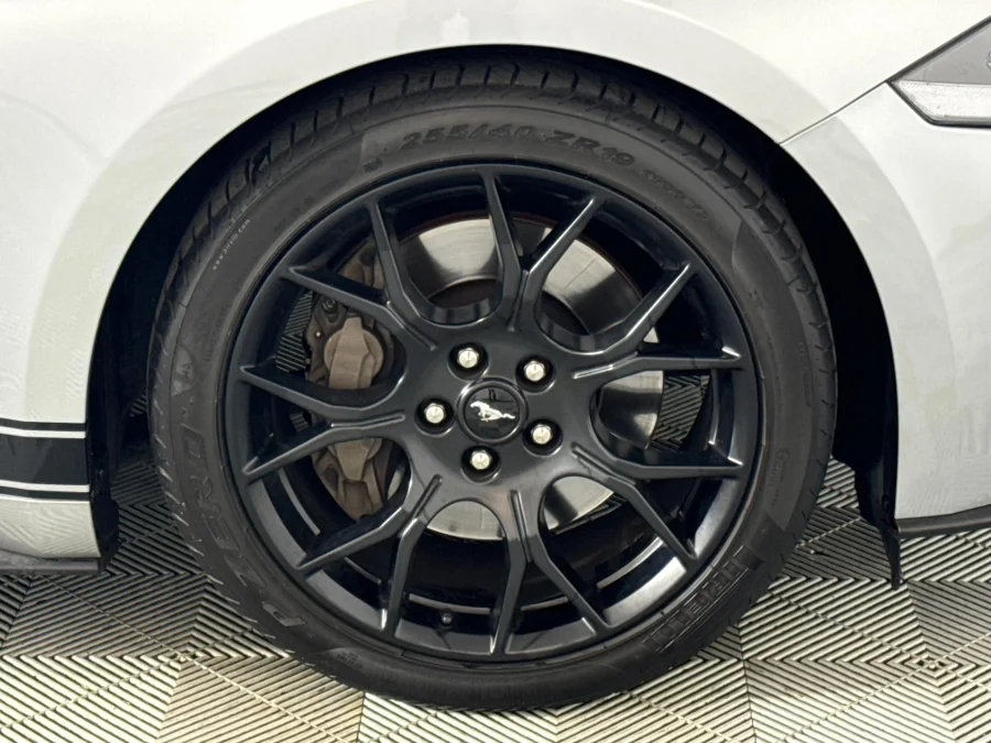 Preloaded Image 3