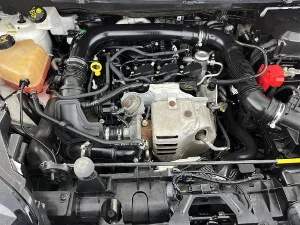 Thumbnail 13