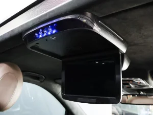 Thumbnail 19