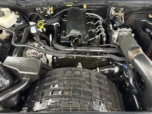 Thumbnail 13