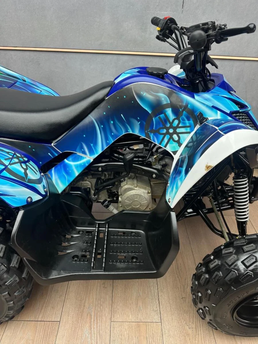 Used 2016 Yamaha Raptor 90 - UB Leisure