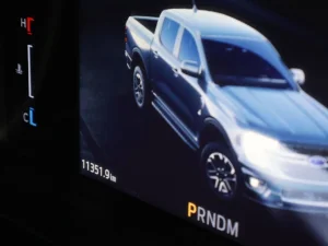 Thumbnail 12