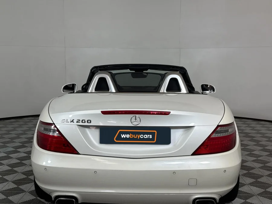 Preloaded Image 13