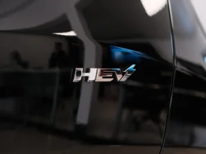 Thumbnail 29