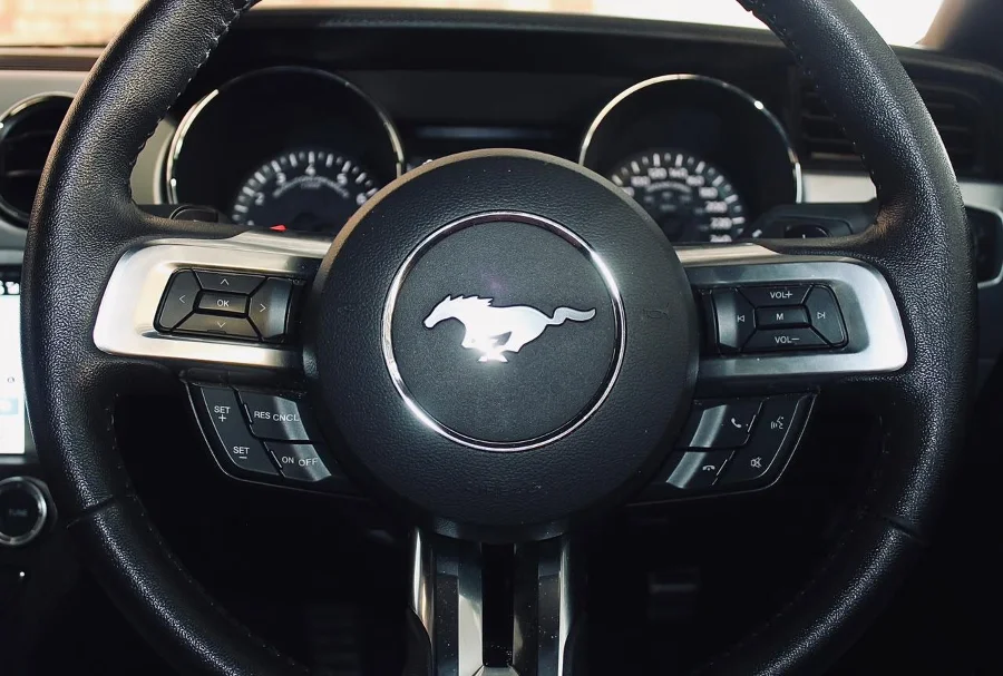 Preloaded Image 23