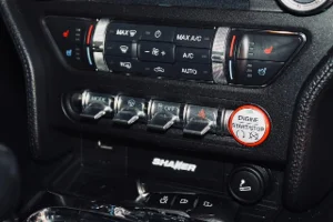 Thumbnail 19
