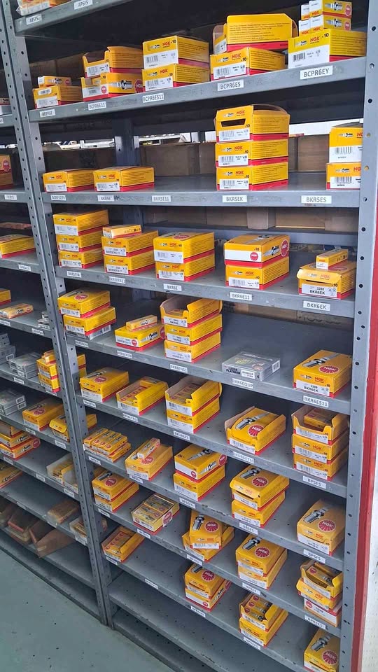 Spark Plugs
