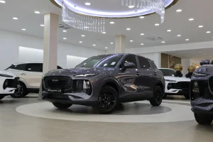 Used 2026 Lepas L4 1.5 Amur Used 2026 Lepas L4 1.5 Amur