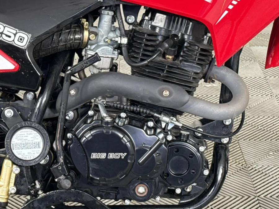 Used 2026 Big Boy TSR  250 - WeBuyCars George